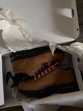 Air Max Goadome Low SP